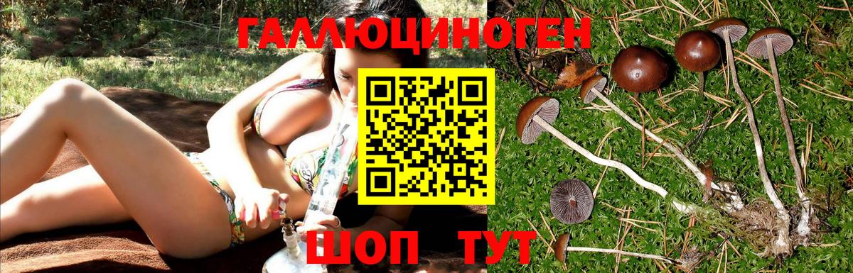 что такое наркотик  Псилоцибиновые грибы ЛСД  Вход с VPN  Псилоцибиновые грибы Magic Shrooms  Новоалтайск 