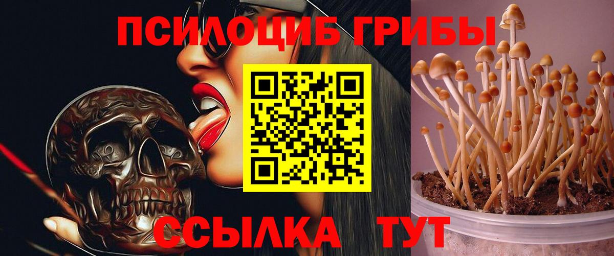 Галлюциногенные грибы Cubensis Новоалтайск